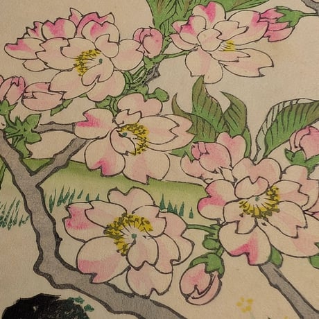 楳嶺 「楳嶺花鳥画譜　桜　鴎」