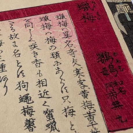 楳嶺 「楳嶺花鳥画譜　蠟梅　鸚鵡」