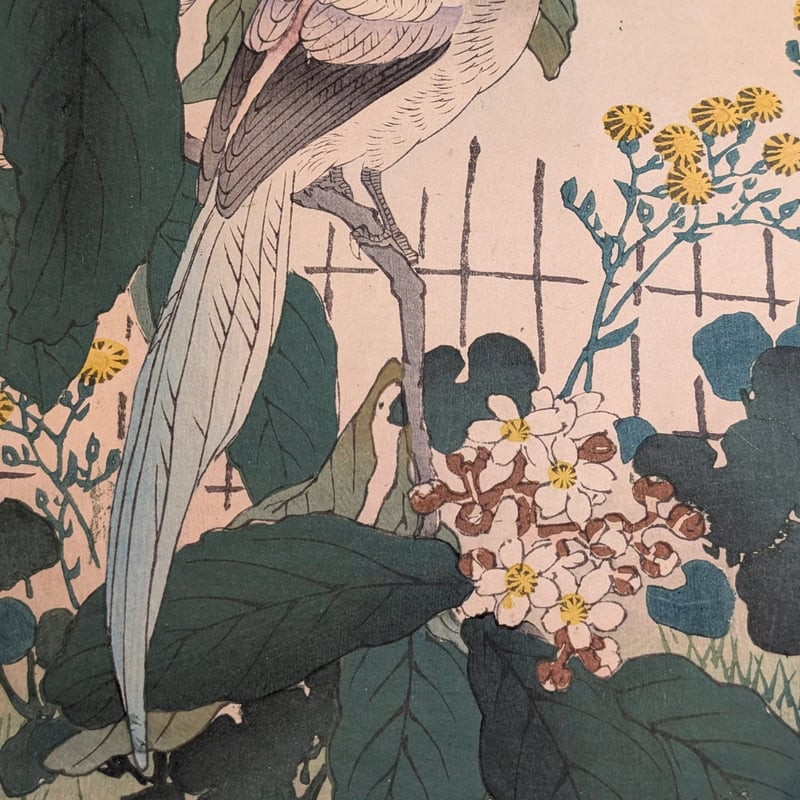 楳嶺 「楳嶺花鳥画譜 枇杷 鳥凰」 | 古美術もりみや