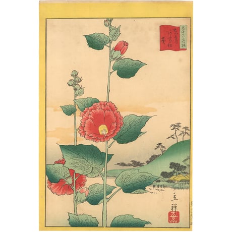 広重二代(立祥) 「東京名所三十六花撰　東都あふひ坂葵」