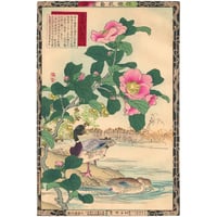 芳年「東錦浮世稿談 蜀順平候趙雲」 -趙雲子龍- | 古美術もりみや