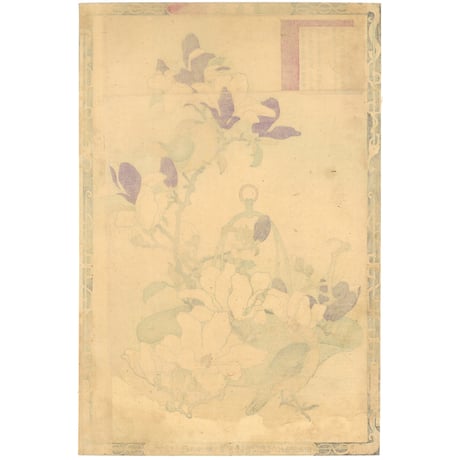 楳嶺 「楳嶺花鳥画譜　木蘭　雲雀」