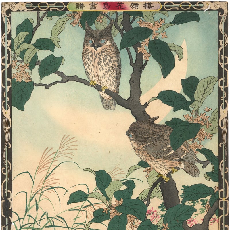 楳嶺 「楳嶺花鳥画譜 木犀花 鴟鵂(ミミズク)」 | 古美術もりみや 楳嶺 「楳嶺花鳥画譜 木犀花 鴟鵂(ミミズク)」 | 古美術もりみや