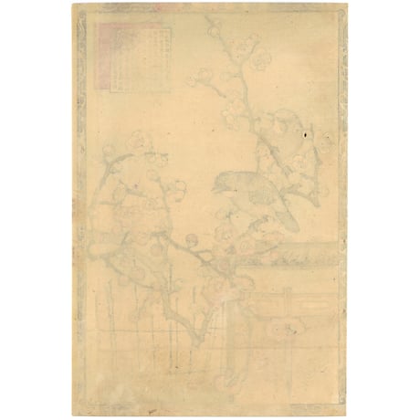 楳嶺 「楳嶺花鳥画譜　梅　橿鳥」
