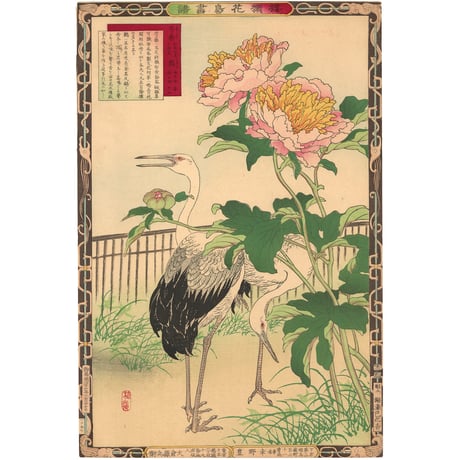 楳嶺 「楳嶺花鳥画譜　芍薬　鸛」