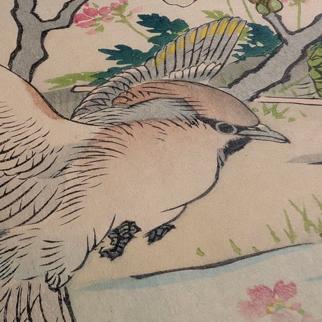 楳嶺 「楳嶺花鳥画譜　梨花　連雀」