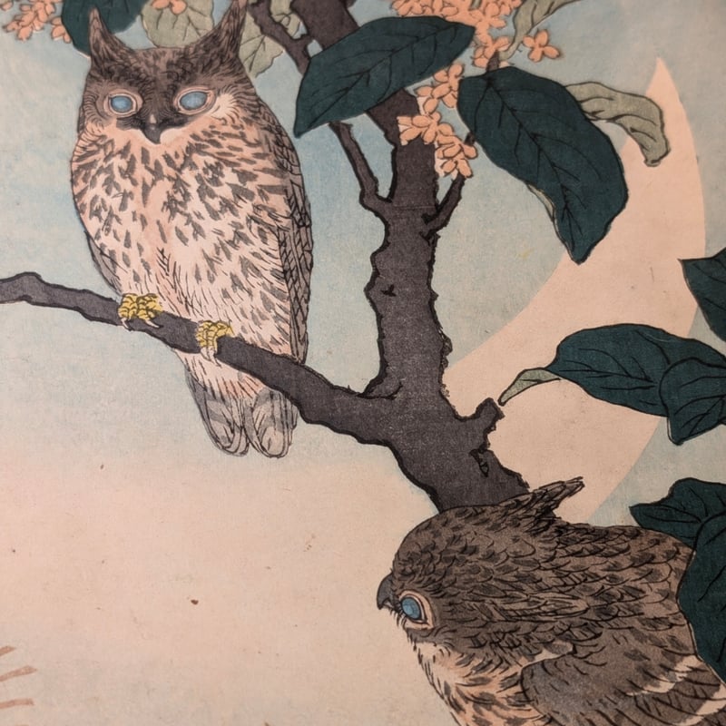 楳嶺 「楳嶺花鳥画譜 木犀花 鴟鵂(ミミズク)」 | 古美術もりみや 楳嶺 「楳嶺花鳥画譜 木犀花 鴟鵂(ミミズク)」 | 古美術もりみや