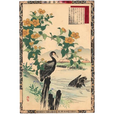 楳嶺 「楳嶺花鳥画譜　山吹　鵜」