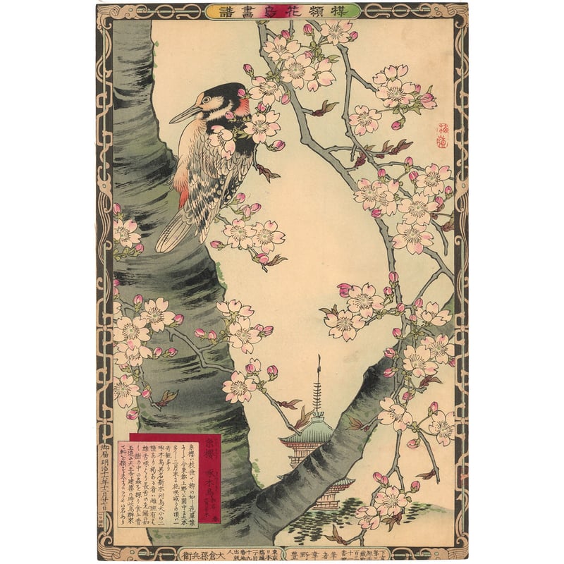 楳嶺 「楳嶺花鳥画譜 糸桜 啄木鳥」 | 古美術もりみや