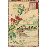 芳年「東錦浮世稿談 蜀順平候趙雲」 -趙雲子龍- | 古美術もりみや