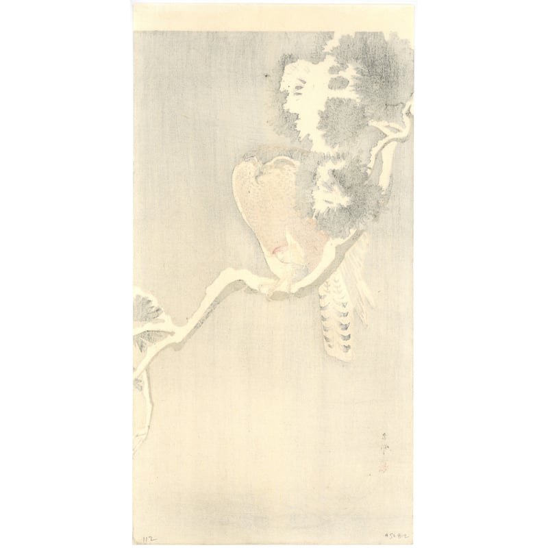 小原古邨 (雪松に大鷹と温め鳥) | 古美術もりみや