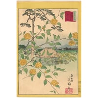 広重二代(立祥) 「東京名所三十六花撰　東京山吹の里山ふき」