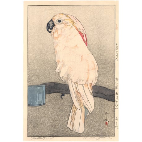 吉田博 「於ほばたん　あうむ」
