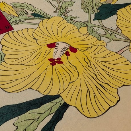 楳嶺 「楳嶺花鳥画譜　黄蜀葵　錦鶏」