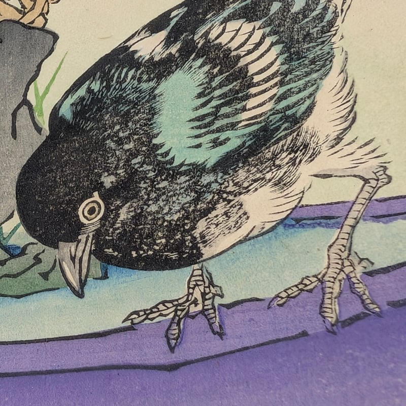楳嶺 「楳嶺花鳥画譜 甘藍 鵲」 | 古美術もりみや