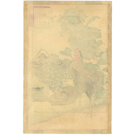 楳嶺 「楳嶺花鳥画譜　紫陽花　軍鶏」