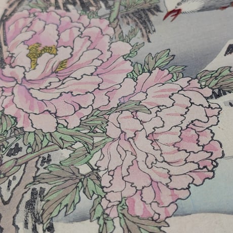楳嶺 「楳嶺花鳥画譜　島鵯　温牡丹」