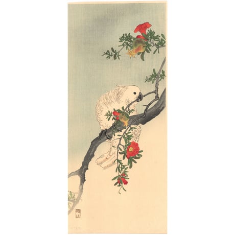 伊藤総山  (石榴に鸚鵡)