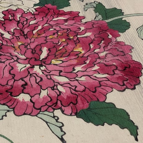 楳嶺 「楳嶺花鳥画譜　芥子　鷭」