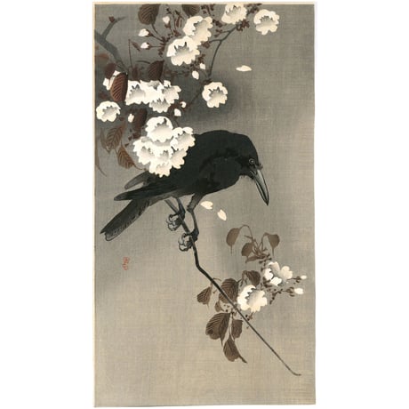 小原古邨「桜に烏」