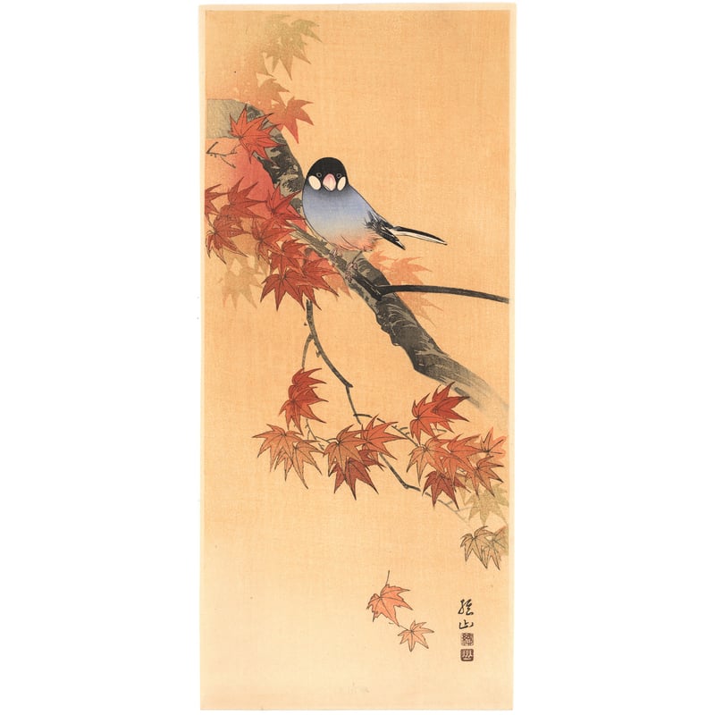 作者不詳/紅葉山樵画賛/紅葉狩り図/もみじがり図/掛軸/名家伝来/AD-189 作者不詳/紅葉山樵画賛/紅葉狩り図/もみじがり図/掛軸/名家伝来