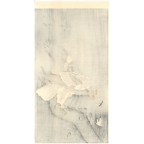 小原古邨 (小鳥を狙う大鷲)
