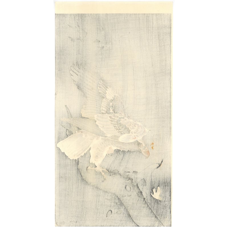 小原古邨 (小鳥を狙う大鷲) | 古美術もりみや