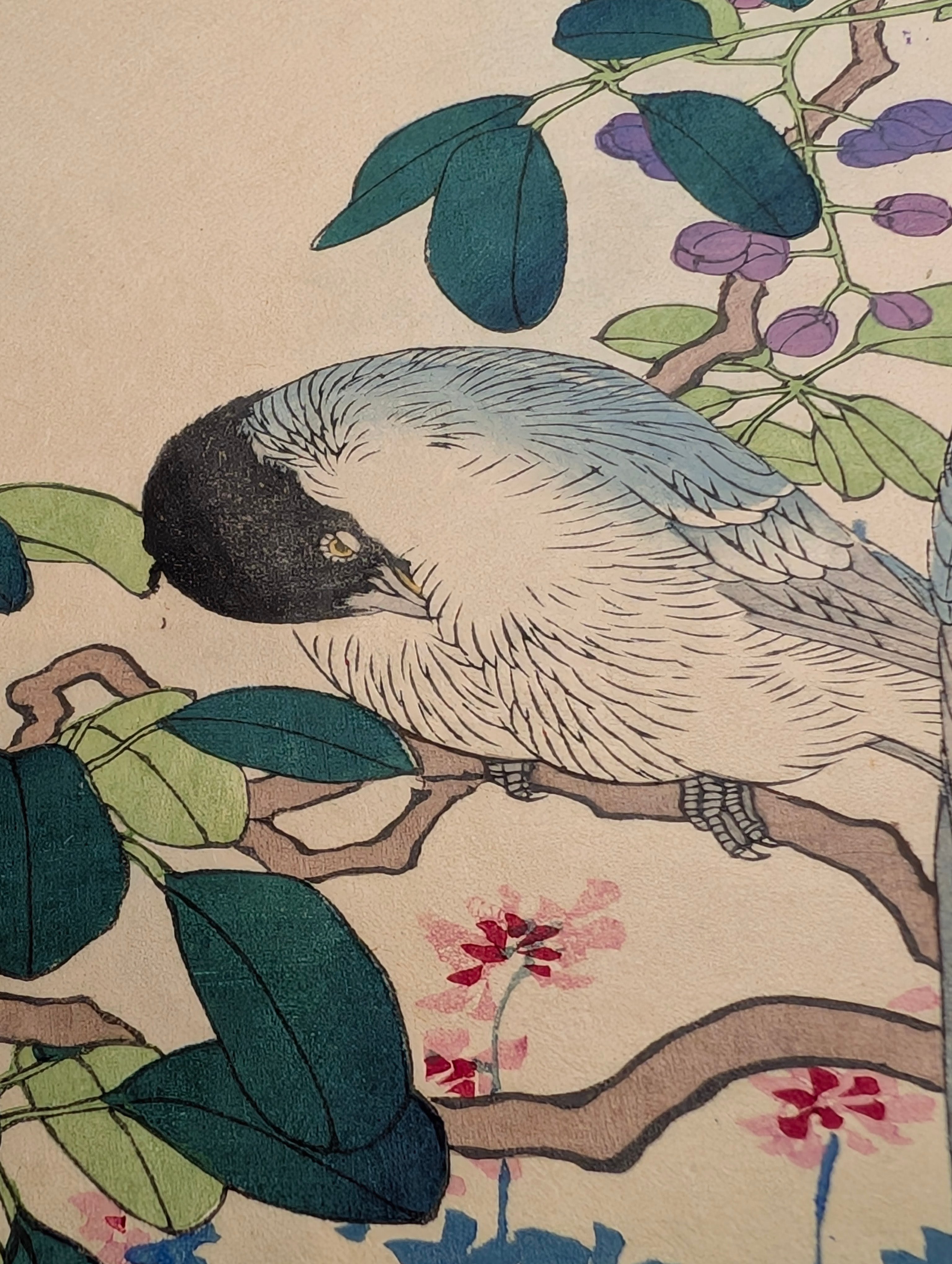 楳嶺 「楳嶺花鳥画譜 木通 練鵲」 | 古美術もりみや
