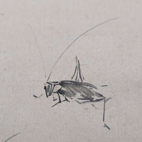 喜田華堂　(鈴虫)