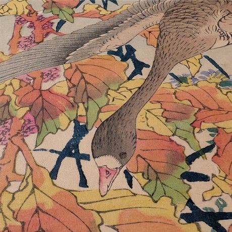 楳嶺 「楳嶺花鳥画譜　雁来紅　雁」