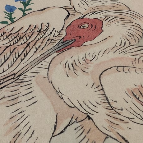 楳嶺 「楳嶺花鳥画譜　アジ豆　朱鷺」