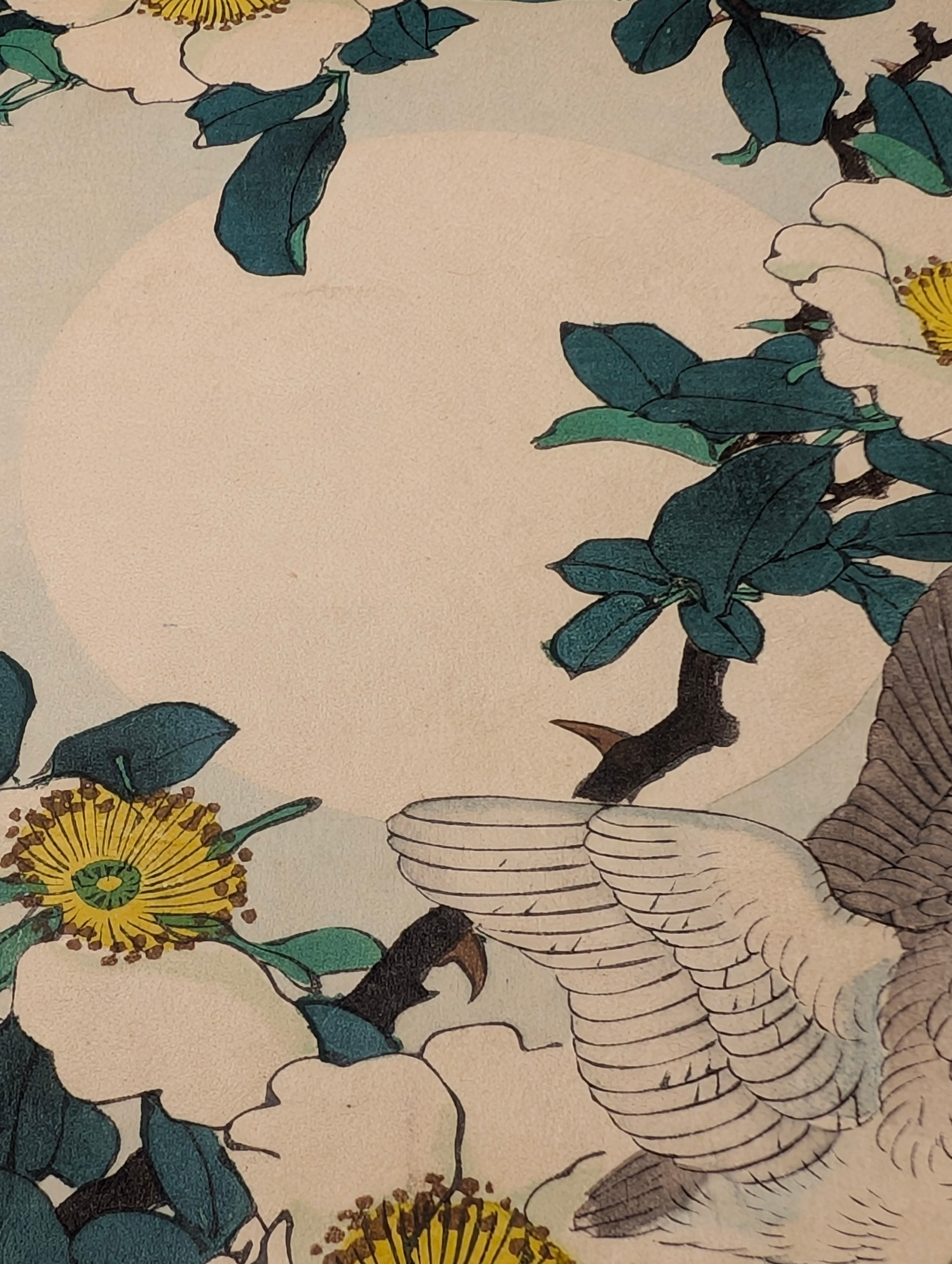 楳嶺 「楳嶺花鳥画譜 金桜子 水鶏」 | 古美術もりみや
