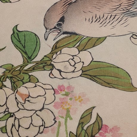 楳嶺 「楳嶺花鳥画譜　梨花　連雀」