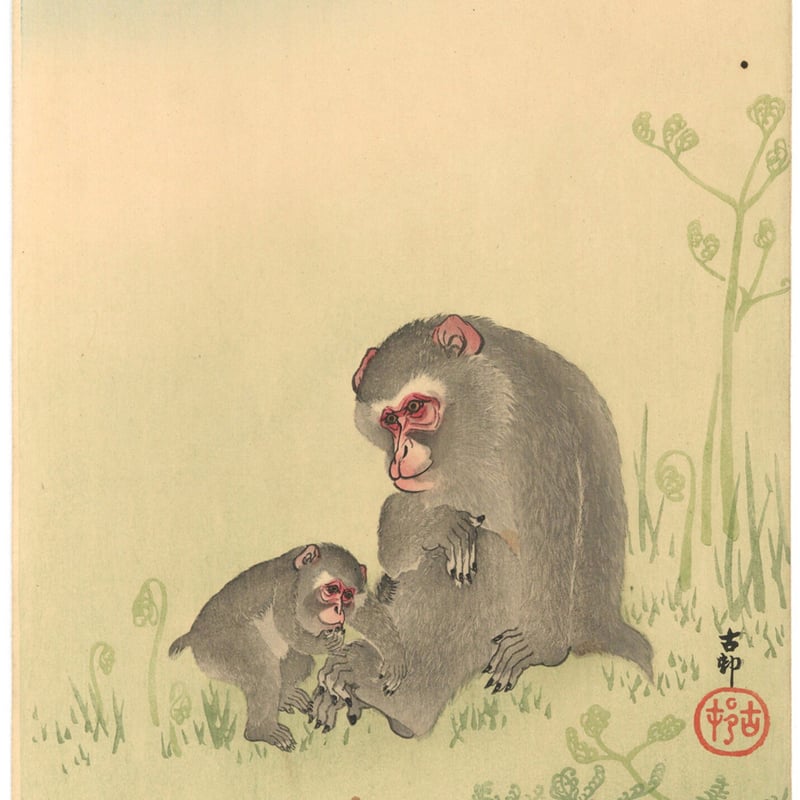 絹本 松に親子猿図 松に猿画 作家物 絹本 松に親子