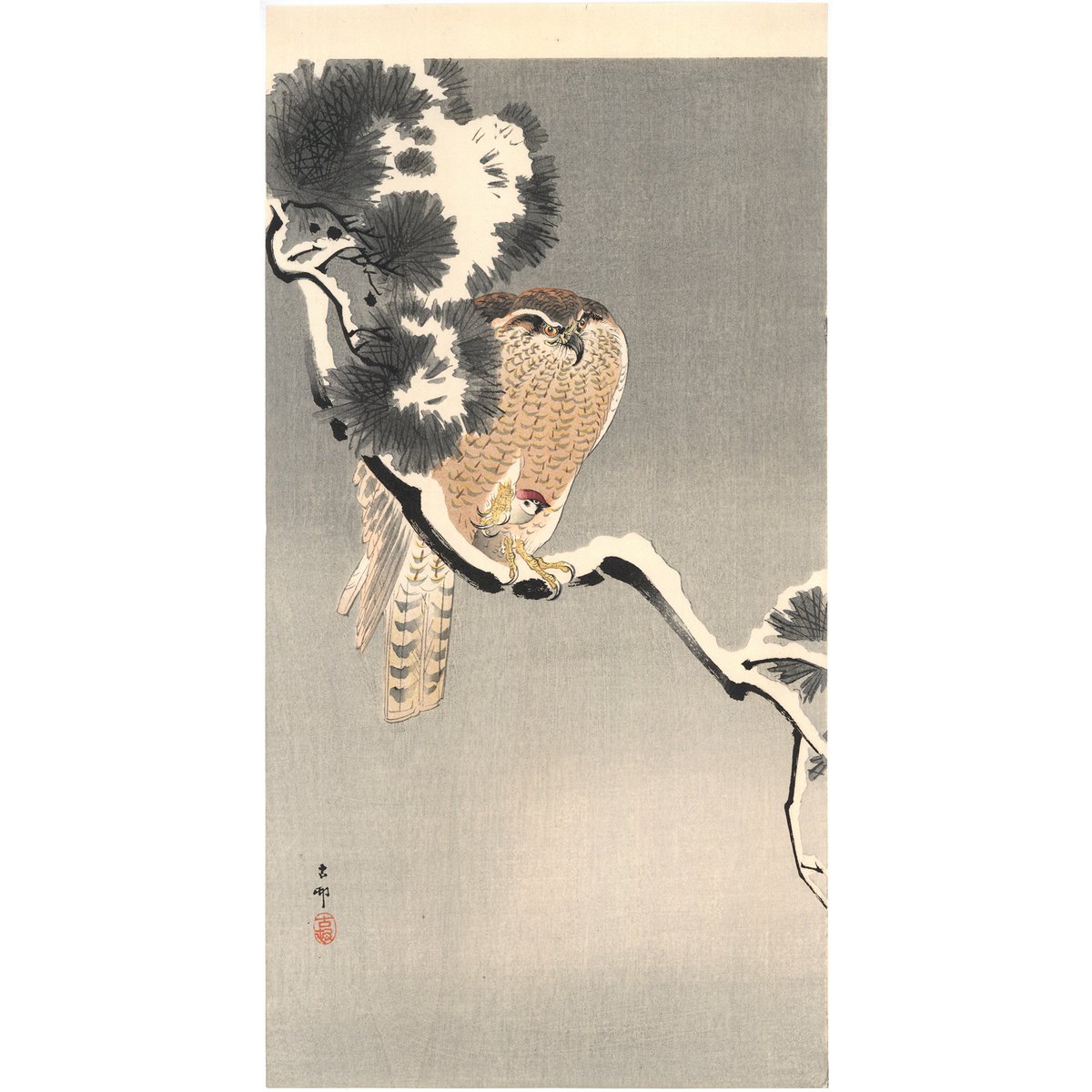 小原古邨 (雪松に大鷹と温め鳥) | 古美術もりみや