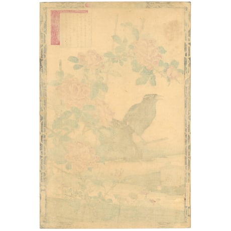 楳嶺 「楳嶺花鳥画譜　月季花　九官鳥」