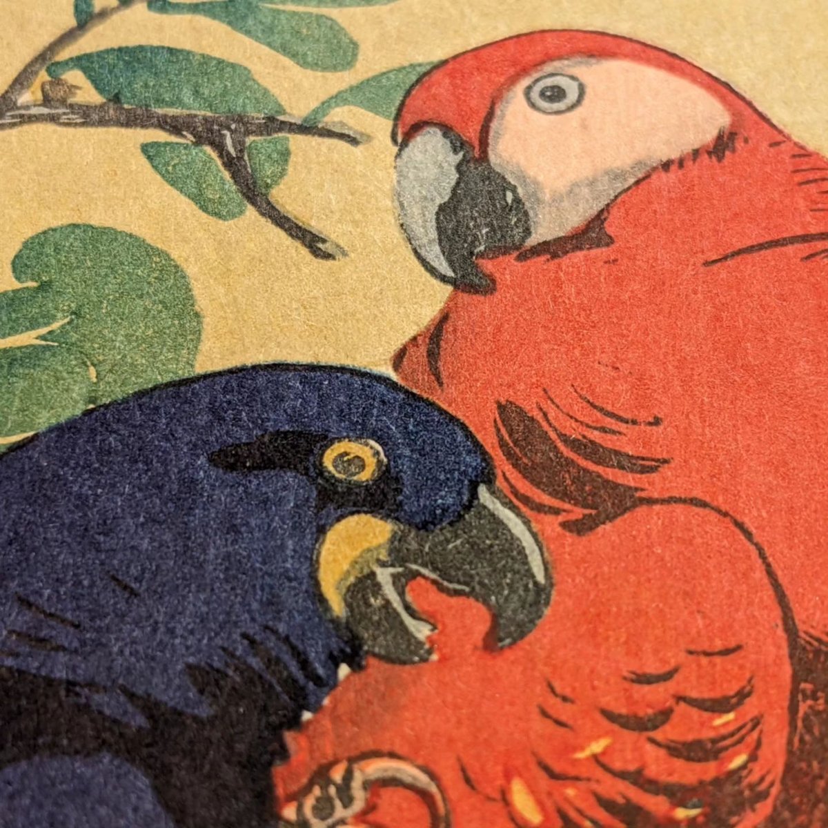 伊藤 廉『二羽の鳥』パステル画 絵画 伊藤総山 「二羽のインコ」 | 古美術もりみや