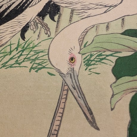 楳嶺 「楳嶺花鳥画譜　芍薬　鸛」
