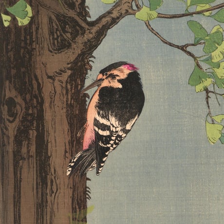 伊藤総山  (銀杏に啄木鳥)