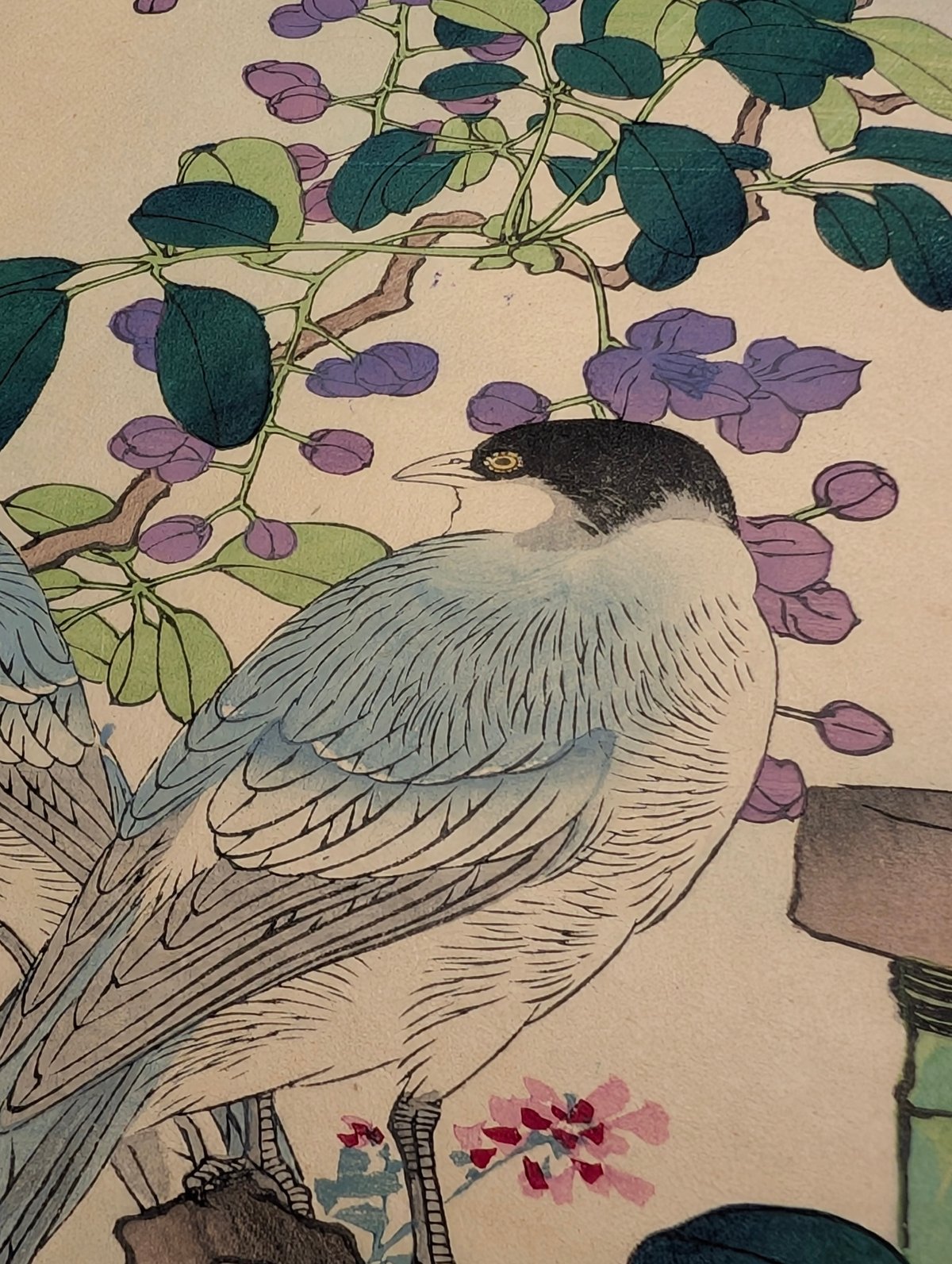 楳嶺 「楳嶺花鳥画譜 木通 練鵲」 | 古美術もりみや