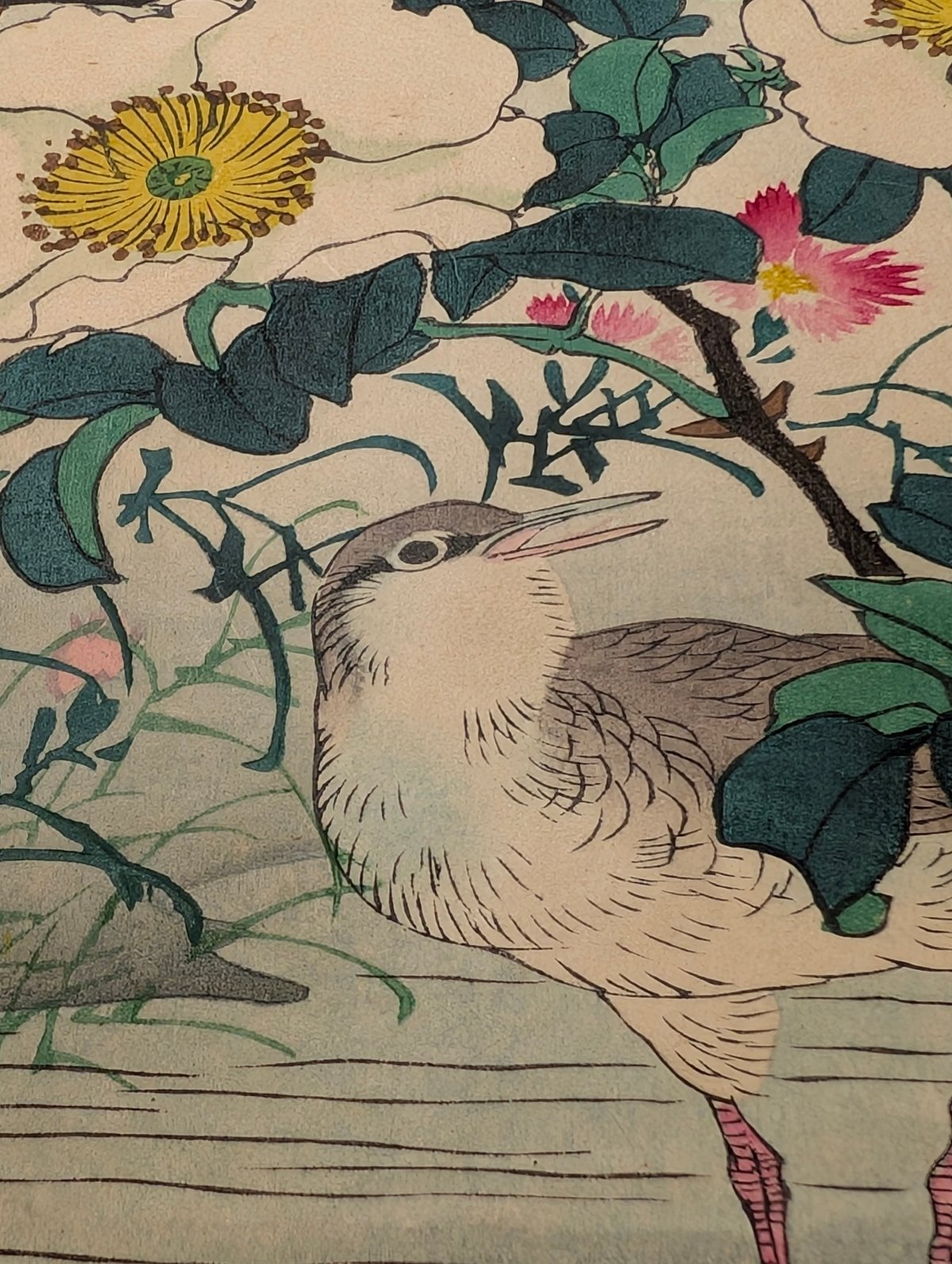 楳嶺 「楳嶺花鳥画譜 金桜子 水鶏」 | 古美術もりみや