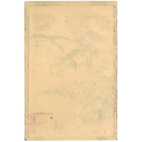 楳嶺 「楳嶺花鳥画譜　寒菊　味鴨」