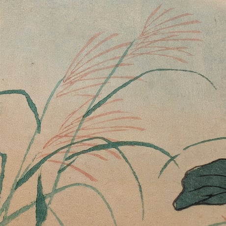 楳嶺 「楳嶺花鳥画譜　木犀花　ミミズク」