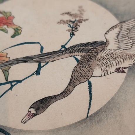 楳嶺 「楳嶺花鳥画譜　雁来紅　雁」