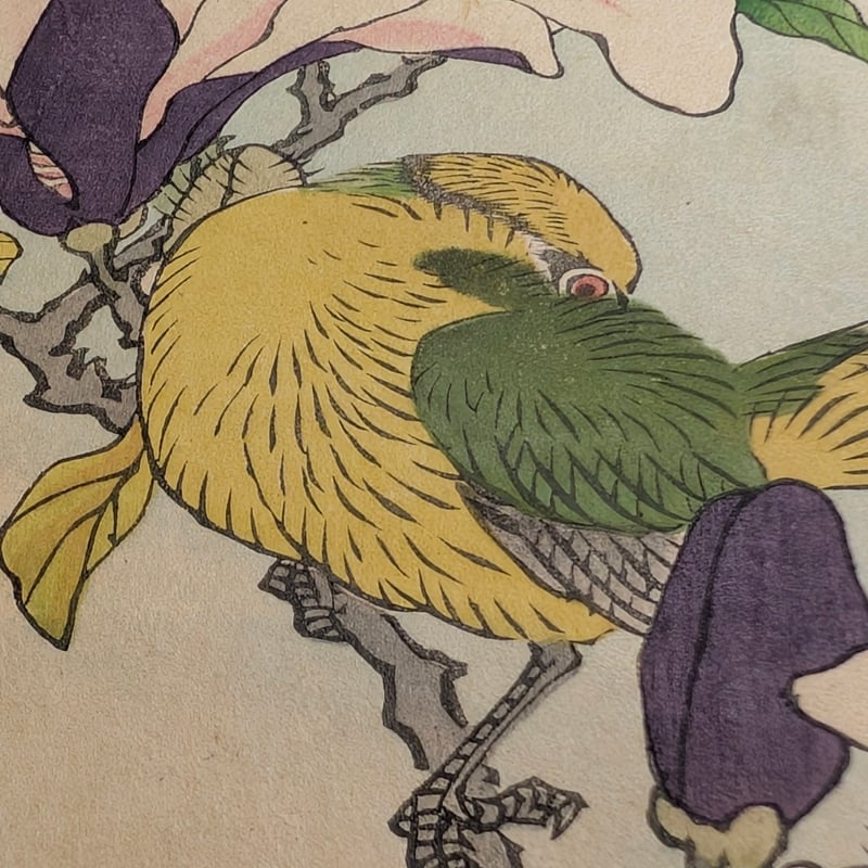 楳嶺 「楳嶺花鳥画譜 木蘭 雲雀」 | 古美術もりみや