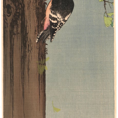 伊藤総山  (銀杏に啄木鳥)