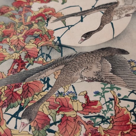 楳嶺 「楳嶺花鳥画譜　雁来紅　雁」