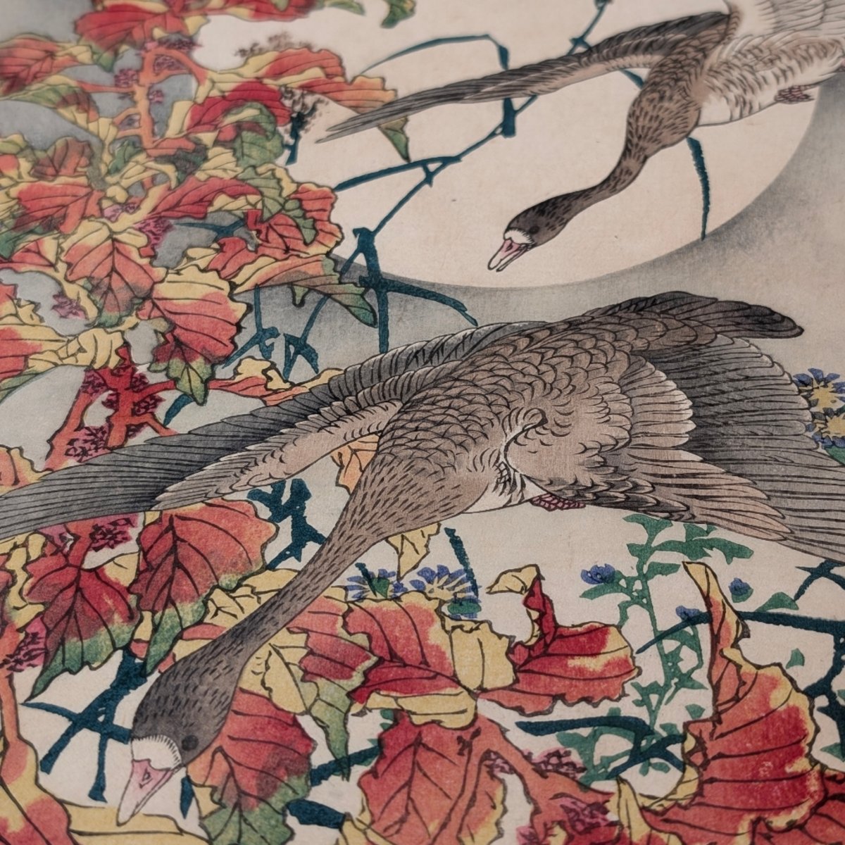 No4420 巻子装　報春図　紅梅　紙本　花鳥図　古画　絵画　古美術　送料無料 山口蓬春 紅梅 | 古美術瀬戸