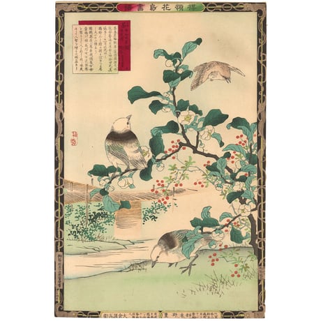 楳嶺 「楳嶺花鳥画譜　茶　鷦鷯」