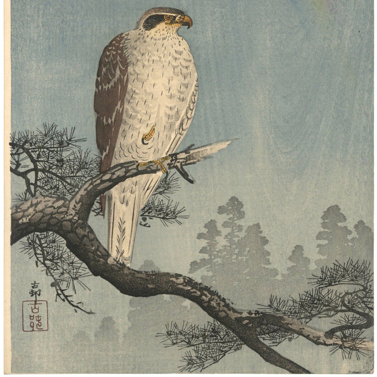 小原古邨」虹に松と大鷹」 | 古美術もりみや